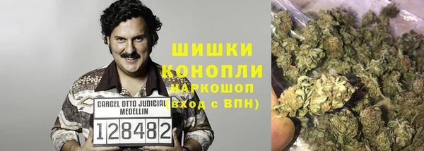 стаф Ладушкин