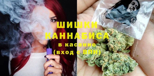 стаф Ладушкин