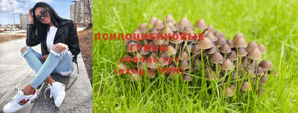 прущая мука Лагань