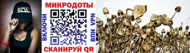 Псилоцибиновые грибы Psilocybine cubensis  Агрыз 